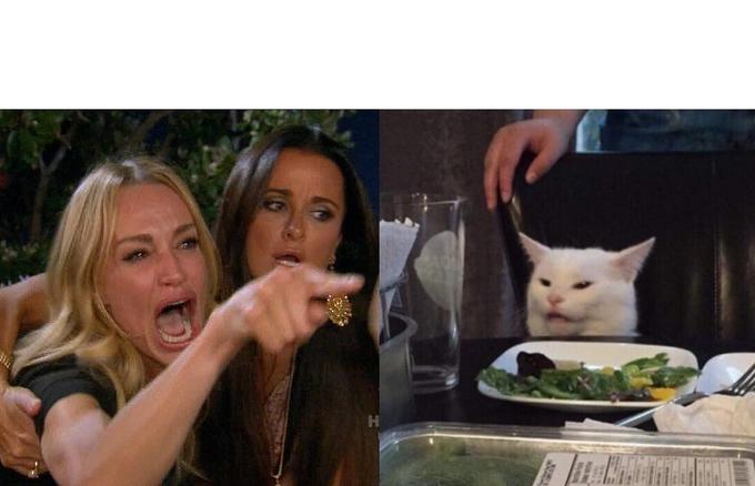 Blank Woman Yelling at a Cat meme template
